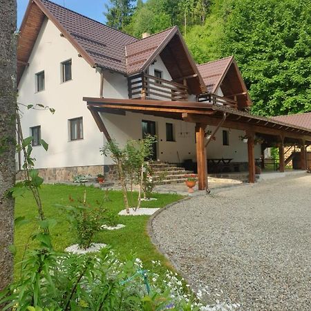 Pensiunea Cheile Repezii Борша Екстер'єр фото
