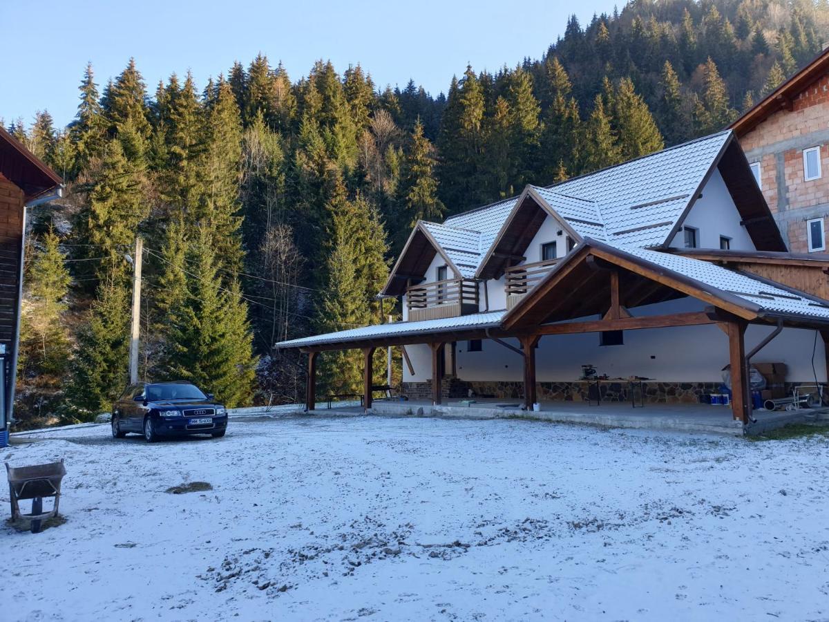 Pensiunea Cheile Repezii Борша Екстер'єр фото